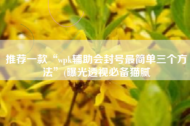 推荐一款“wpk辅助会封号最简单三个方法”(曝光透视必备猫腻