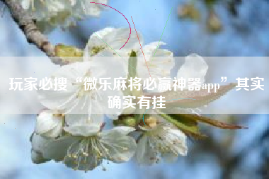 玩家必搜“微乐麻将必赢神器app”其实确实有挂