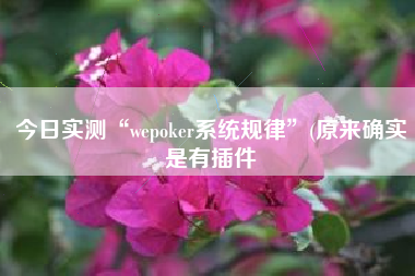 今日实测“wepoker系统规律”(原来确实是有插件