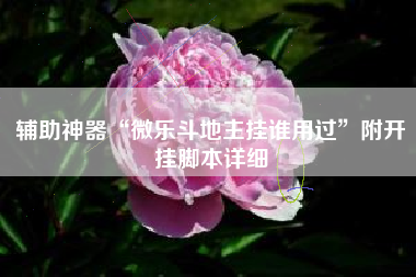 辅助神器“微乐斗地主挂谁用过”附开挂脚本详细