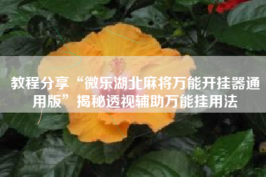 教程分享“微乐湖北麻将万能开挂器通用版	”揭秘透视辅助万能挂用法