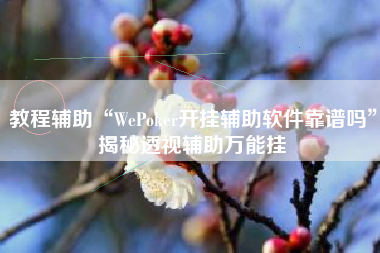 教程辅助“WePoker开挂辅助软件靠谱吗”揭秘透视辅助万能挂