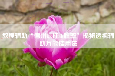 教程辅助“德州kk打ak胜率”揭秘透视辅助万能挂用法