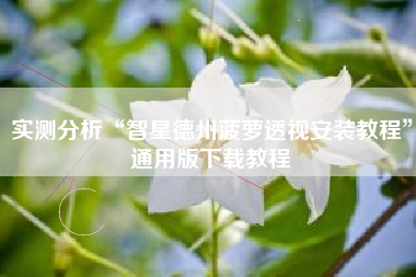 实测分析“智星德州菠萝透视安装教程”通用版下载教程