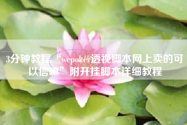 3分钟教程“wepoker透视脚本网上卖的可以信嘛”附开挂脚本详细教程