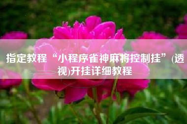 指定教程“小程序雀神麻将控制挂”(透视)开挂详细教程