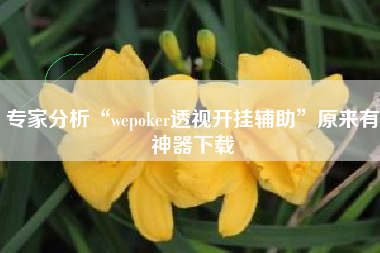 专家分析“wepoker透视开挂辅助”原来有神器下载