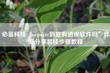 必备科技“wepoker到底有透视软件吗”详细分享装挂步骤教程