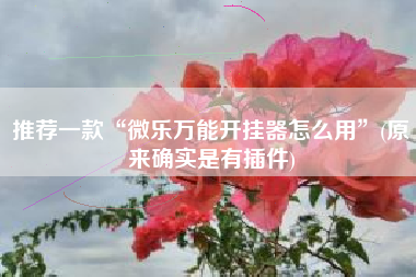 推荐一款“微乐万能开挂器怎么用	”(原来确实是有插件)