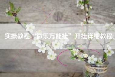 实操教程“微乐万能挂	”开挂详细教程