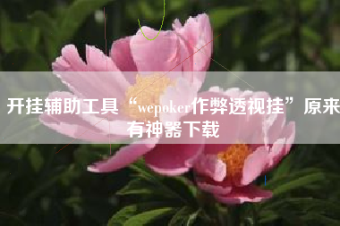 开挂辅助工具“wepoker作弊透视挂	”原来有神器下载