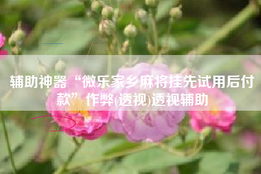 辅助神器“微乐家乡麻将挂先试用后付款	”作弊(透视)透视辅助