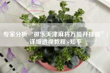 专家分析“微乐天津麻将万能开挂器”(详细透视教程)-知乎