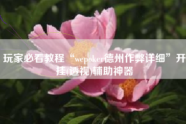 玩家必看教程“wepoker德州作弊详细	”开挂(透视)辅助神器