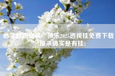 必学教你安装“微乐2025透视挂免费下载”(原来确实是有挂)