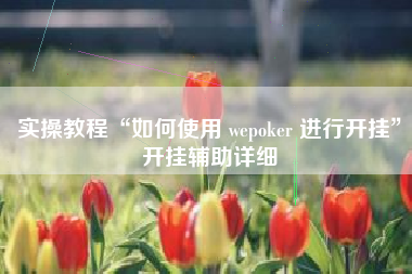实操教程“如何使用 wepoker 进行开挂”开挂辅助详细