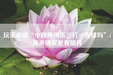 玩家必读“小程序微乐三打一有挂吗	”(原来确实是有插件