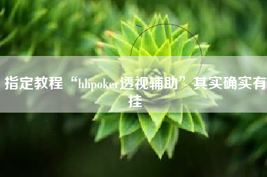 指定教程“hhpoker透视辅助	”其实确实有挂
