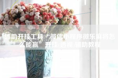 辅助开挂工具“微信小程序微乐麻将怎么能赢	”开挂(透视)辅助教程