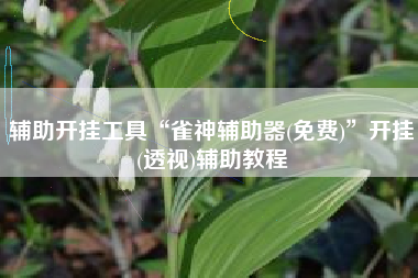 辅助开挂工具“雀神辅助器(免费)	”开挂(透视)辅助教程