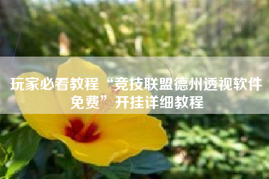 玩家必看教程“竞技联盟德州透视软件免费	”开挂详细教程