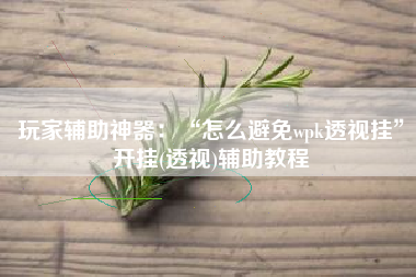 玩家辅助神器：“怎么避免wpk透视挂	”开挂(透视)辅助教程