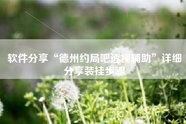 软件分享“德州约局吧透视辅助”详细分享装挂步骤