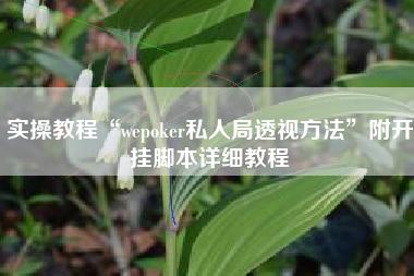 实操教程“wepoker私人局透视方法”附开挂脚本详细教程