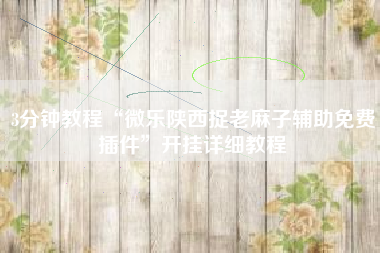 3分钟教程“微乐陕西捉老麻子辅助免费插件	”开挂详细教程