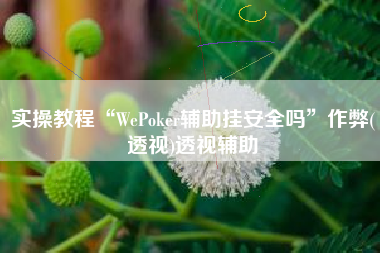 实操教程“WePoker辅助挂安全吗”作弊(透视)透视辅助