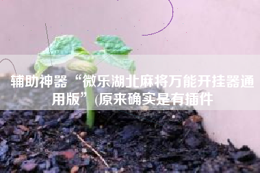 辅助神器“微乐湖北麻将万能开挂器通用版	”(原来确实是有插件