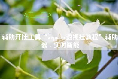辅助开挂工具“wepoker透视挂教程	”辅助器 - 实时智能