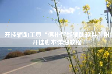 开挂辅助工具“德扑智能辅助软件”附开挂脚本详细教程