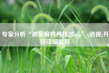专家分析“微乐麻将开挂器app”(透视)开挂详细教程