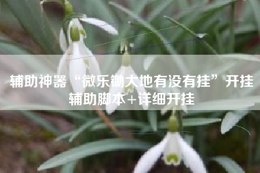 辅助神器“微乐锄大地有没有挂”开挂辅助脚本+详细开挂