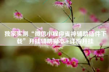 独家实测“微信小程序雀神辅助插件下载”开挂辅助脚本+详细开挂