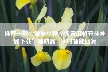 推荐一款“微信小程序微乐麻将开挂神器下载	”辅助器 - 实时智能回复