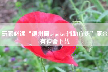 玩家必读“德州局wepoker辅助方法”原来有神器下载