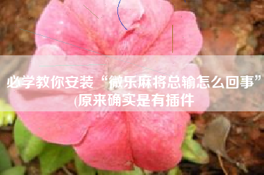 必学教你安装“微乐麻将总输怎么回事”(原来确实是有插件