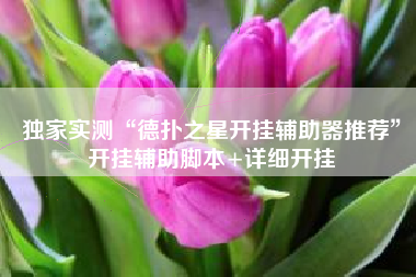 独家实测“德扑之星开挂辅助器推荐	”开挂辅助脚本+详细开挂