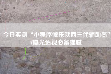 今日实测“小程序微乐陕西三代辅助器”(曝光透视必备猫腻