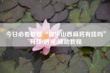 今日必看教程“微乐山西麻将有挂吗”开挂(透视)辅助教程