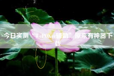 今日实测“WePOKer辅助”原来有神器下载