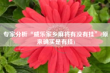 专家分析“威乐家乡麻将有没有挂	”(原来确实是有挂)
