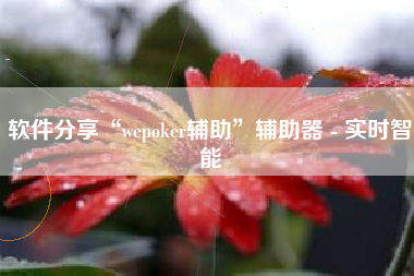 软件分享“wepoker辅助”辅助器 - 实时智能