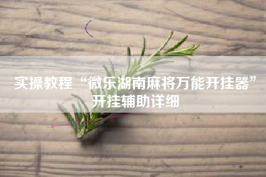 实操教程“微乐湖南麻将万能开挂器	”开挂辅助详细