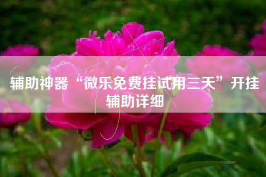 辅助神器“微乐免费挂试用三天”开挂辅助详细