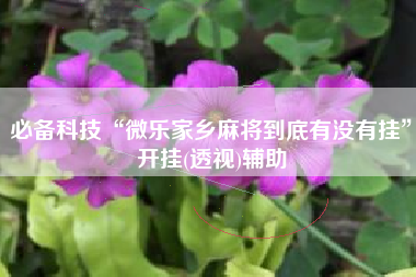 必备科技“微乐家乡麻将到底有没有挂”开挂(透视)辅助