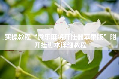 实操教程“微乐麻将开挂器苹果版”附开挂脚本详细教程