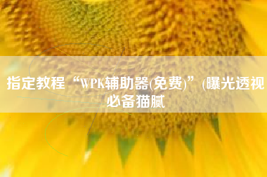 指定教程“WPK辅助器(免费)”(曝光透视必备猫腻